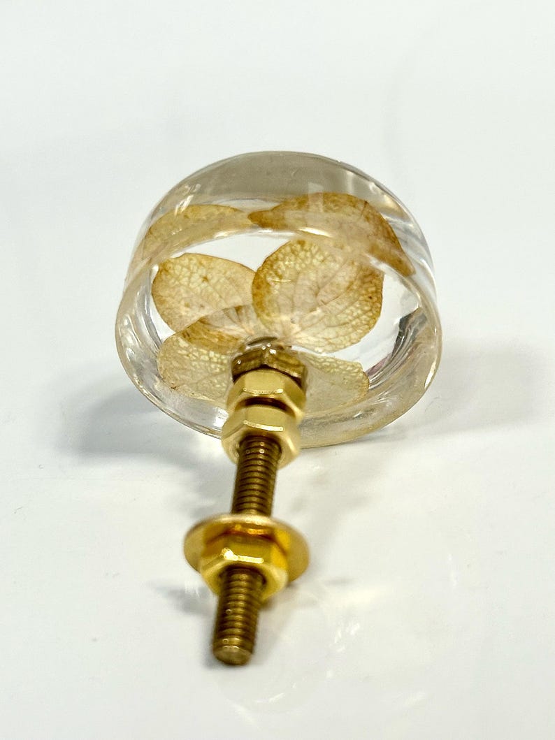 Puede incluir: Un pomo redondo para muebles hecho de resina transparente que contiene p&eacute;talos de hortensia secos de color beige. El pomo cuenta con un perno de metal dorado con dos tuercas hexagonales a juego y una arandela circular en la base.