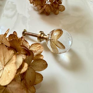 Puede incluir: Un pomo esf&eacute;rico para muebles hecho de resina transparente que contiene un p&eacute;talo de flor de hortensia seca de color marr&oacute;n. El pomo cuenta con una base de metal dorado y un tornillo roscado para su fijaci&oacute;n, junto a flores de hortensia secas.