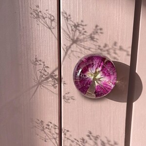 Könnte beinhalten: Ein runder Möbelknopf aus klarem Harz, der eine konservierte, tief magentafarbene Blume mit sichtbaren Blütenblättern und kleinen Luftblasen enthält, montiert auf einer hellrosa Holzoberfläche mit dem Schatten einer Pflanze auf der Platte.