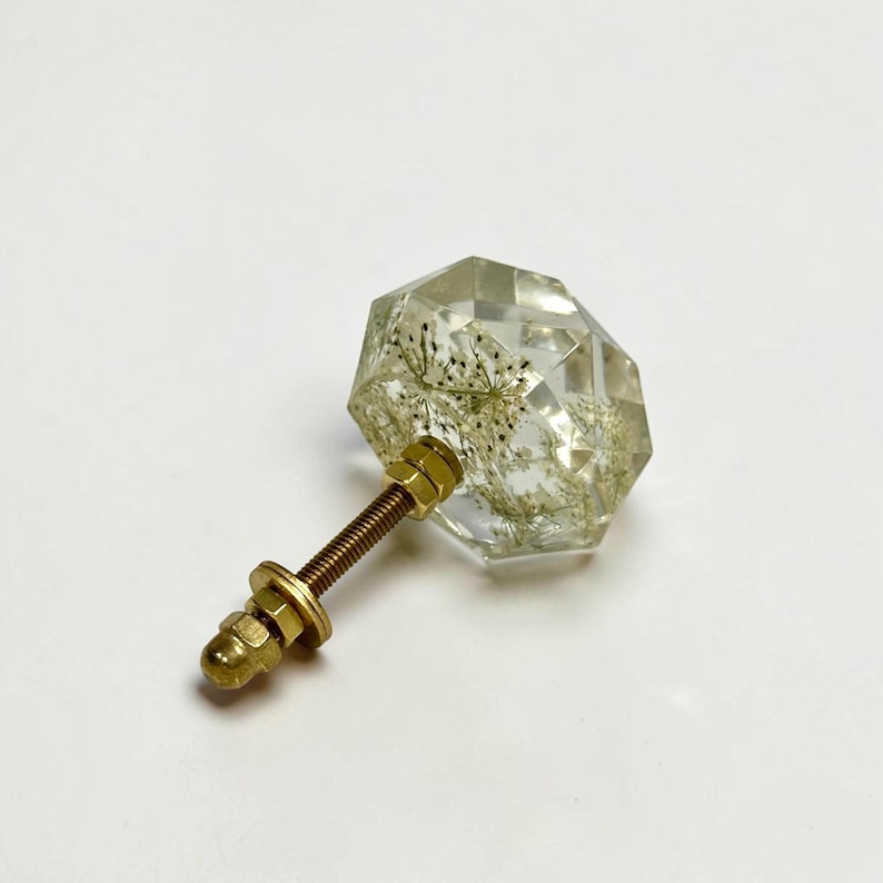 May include: A clear, faceted, hexagonal resin cabinet knob containing embedded dried white botanical elements. The knob features a gold-toned metal threaded bolt, a flat washer, and a hexagonal nut attached to the back for secure installation.