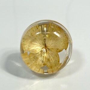 Puede incluir: Un cabuj&oacute;n circular de resina transparente que contiene una sola flor de hortensia prensada de color amarillo dorado claro. El material transparente crea una superficie lisa y abovedada que magnifica los delicados p&eacute;talos veteados del elemento bot&aacute;nico.