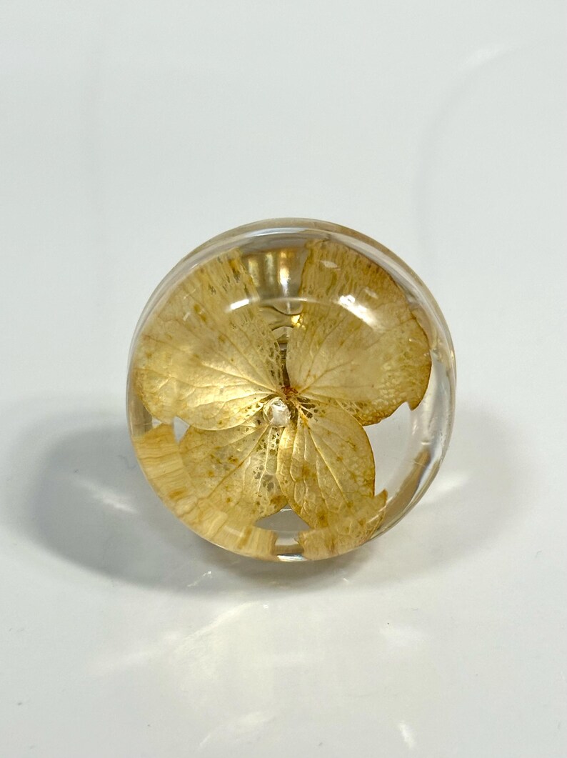 Puede incluir: Un cabuj&oacute;n circular de resina transparente que contiene una sola flor de hortensia prensada de color amarillo dorado claro. El material transparente crea una superficie lisa y abovedada que magnifica los delicados p&eacute;talos veteados del elemento bot&aacute;nico.