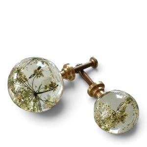 May include: Two spherical cabinet knobs featuring clear resin encasing dried white Queen Anne's lace flowers. Each knob has a brass-toned metal base and a threaded screw attachment. The design showcases the delicate botanical details within.
