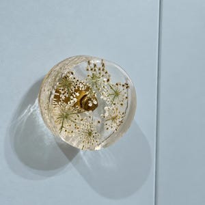 May include: A circular cabinet knob made of clear resin with embedded white dried flowers. The knob features a gold-toned metal base and is attached to a light blue surface. The transparent material allows the delicate floral details to be visible.