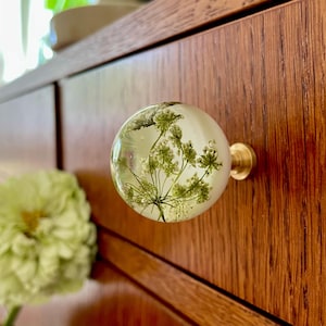 May include: A spherical cabinet knob featuring a clear resin body with an embedded green dried plant specimen. The knob is attached to a circular brass-toned metal base, providing a contrast between the organic botanical element and the hardware.