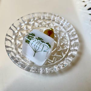 May include: A square, translucent white resin knob featuring an embedded green pressed plant specimen. The knob has a gold-toned metal base and is resting inside a small, round, clear glass dish with a faceted, diamond-patterned rim.
