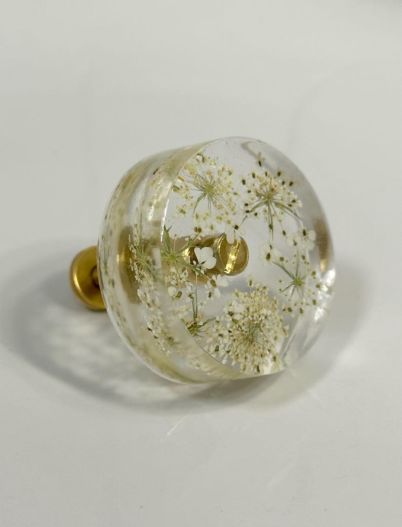 Puede incluir: Un pomo redondo para muebles hecho de resina transparente con flores secas blancas incrustadas. El pomo cuenta con una base de metal dorado y una cabeza de tornillo central dorada visible a trav&eacute;s del material transparente.