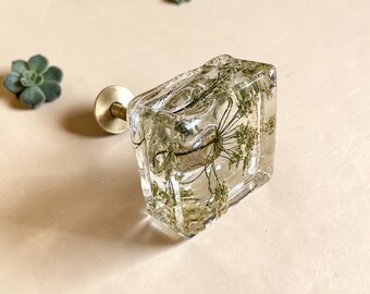 Könnte beinhalten: Ein quadratischer Möbelknopf aus klarem Harz mit einer eingebetteten getrockneten weißen Blume. Der Knopf verfügt über einen goldfarbenen Metallsockel und eine Gewindeschraube als funktionales und dekoratives Element für Möbelstücke.