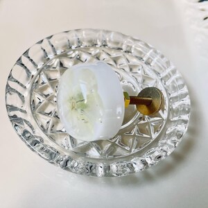 K&ouml;nnte beinhalten: Ein runder, wei&szlig;er M&ouml;belknopf aus Kunstharz mit einer eingebetteten blassgelben Blume, befestigt an einer goldfarbenen Metallschraube mit Mutter. Der Knopf liegt in einer runden, klaren Glasschale mit texturiertem Rautenmuster am Boden.