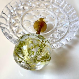 K&ouml;nnte beinhalten: Ein kugelf&ouml;rmiger M&ouml;belknopf aus klarem Harz mit eingebetteten gr&uuml;nen Trockenblumen. Der Knopf verf&uuml;gt &uuml;ber einen goldfarbenen Metallbolzen und eine kreisf&ouml;rmige Basisplatte mit einem facettierten, glasartigen Muster.