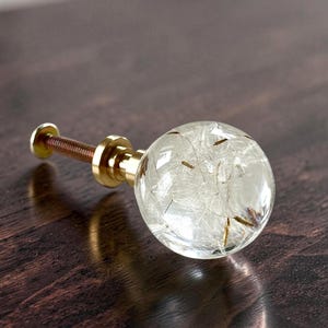 May include: A spherical cabinet knob featuring a clear resin orb containing delicate white dandelion seeds and brown stems. The knob is attached to a polished gold-tone metal base and a threaded metal screw for installation.