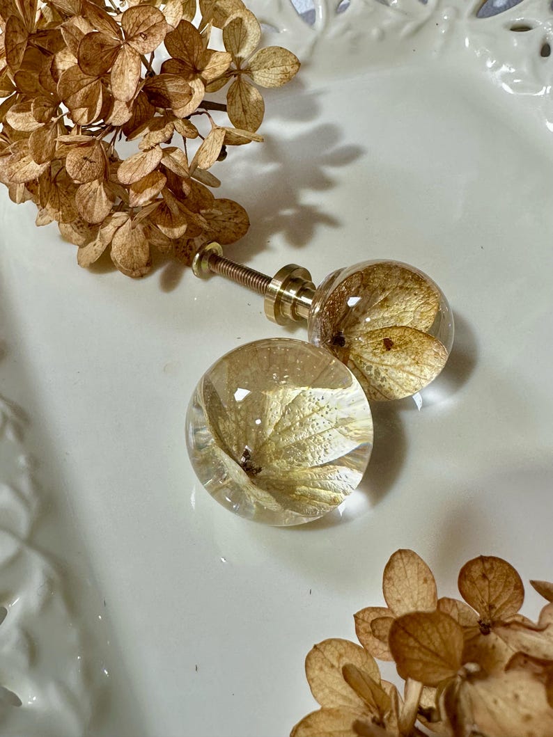 Puede incluir: Dos pomos esf&eacute;ricos para armarios hechos de resina transparente, cada uno con un p&eacute;talo de flor de hortensia seca de color marr&oacute;n claro. Los pomos cuentan con una base de metal dorado y un tornillo roscado, con un acabado liso y pulido.