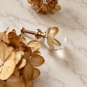 May include: A cabinet knob featuring a clear spherical resin head with a dried brown hydrangea flower petal encased inside. The knob has a metallic gold-toned base and a threaded metal screw stem for attachment to furniture or cabinetry.