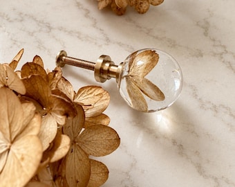 Golden Dried Hydrangea Cabinet Knobs: Real Flowers in Clear Resin