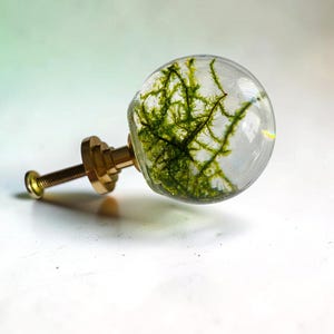 Ball Dresser Knobs with Real Moss in Clear Resin