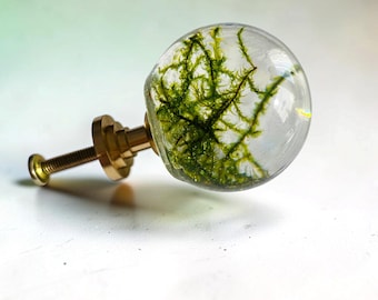 Könnte beinhalten: Ein kugelförmiger Möbelknopf mit einer transparenten Harzkugel, die grüne, moosartige organische Einschlüsse enthält, befestigt an einem polierten goldfarbenen Metallsockel mit einer Gewindeschraube zur Montage an Möbeln.