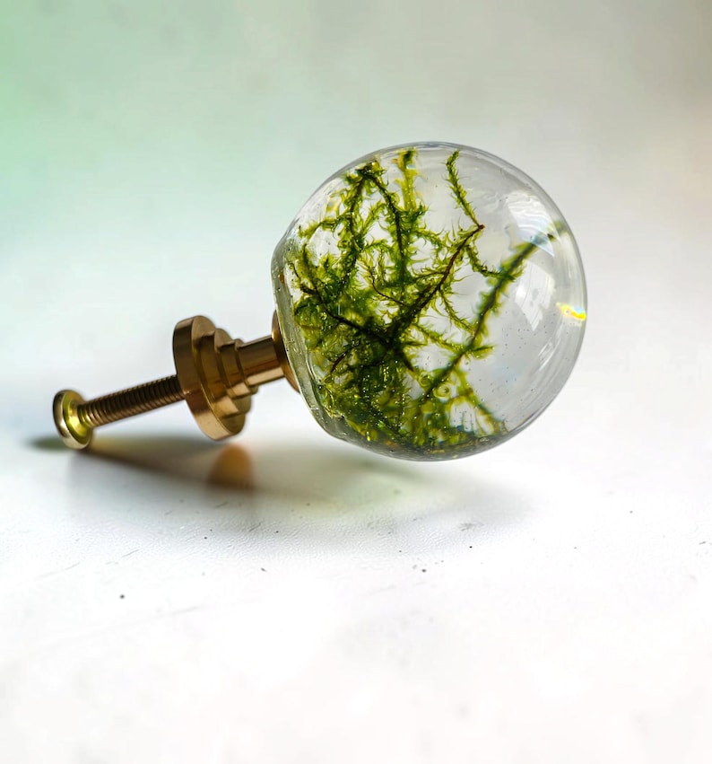 May include: A spherical cabinet knob featuring a clear resin orb containing green moss-like organic matter, attached to a polished gold-tone metal base with a threaded screw for installation on furniture or cabinetry doors.