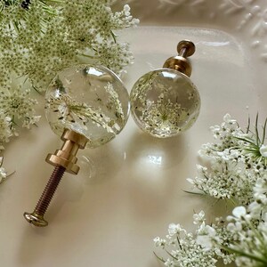 May include: Two spherical cabinet knobs made of clear resin, each containing a preserved white Queen Anne's lace flower. The knobs feature a metallic gold-toned base and a threaded metal screw for installation, showcasing a botanical design.