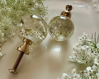 Drawer Pulls with Queen Annes Lace Flowers in Resin