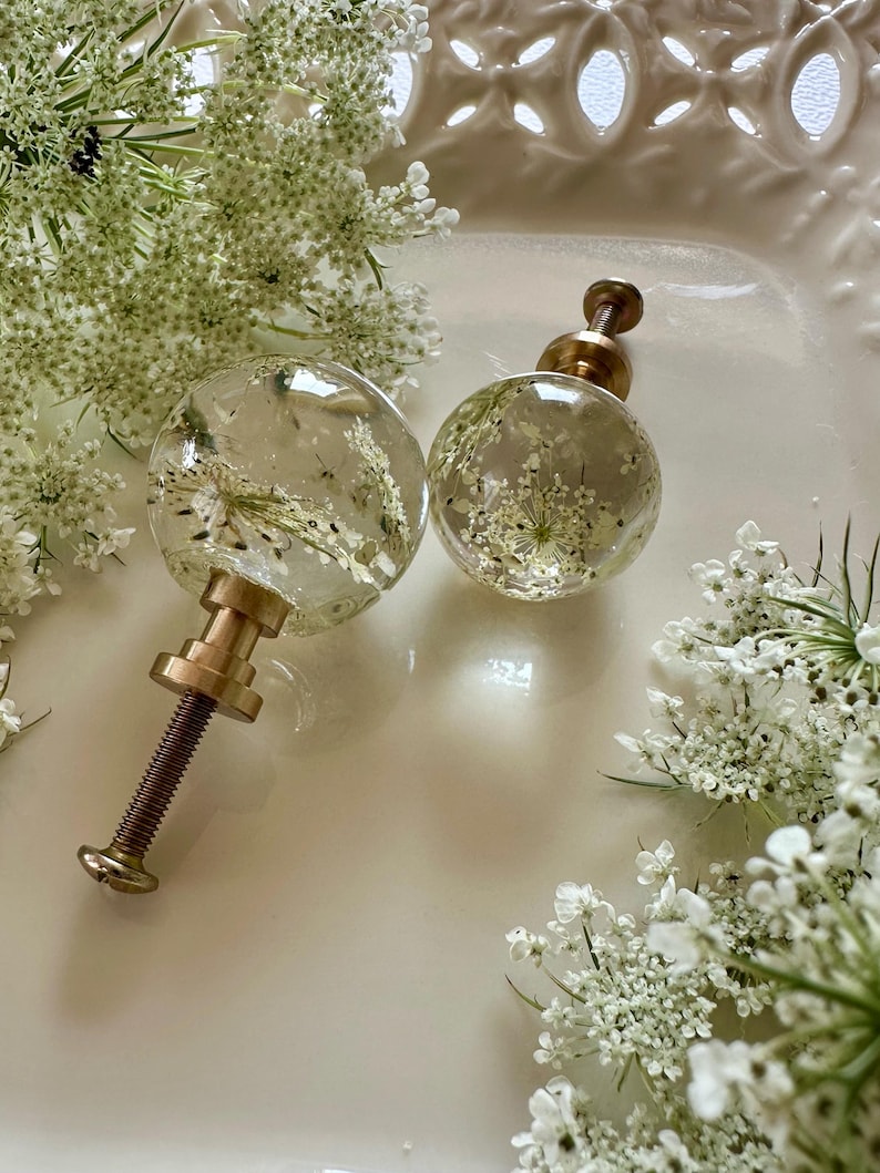 May include: Two spherical cabinet knobs made of clear resin, each containing a preserved white Queen Anne's lace flower. The knobs feature a metallic gold-toned base and a threaded metal screw for installation, showcasing a botanical design.