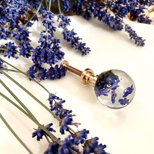 May include: A spherical cabinet knob made of clear resin containing dried purple lavender flowers. The knob features a gold-toned metal base and a threaded screw attachment, providing a functional and decorative hardware piece for furniture.