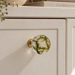 May include: A spherical clear resin cabinet knob featuring embedded green moss, attached to a circular brass-toned metal base. The knob is mounted on a flat, off-white cabinet drawer front with a recessed panel design.