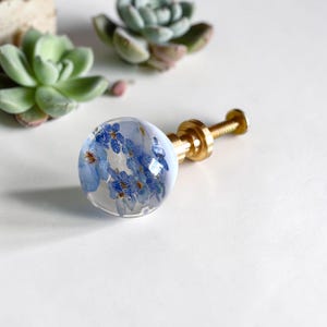 Cabinet Knobs with Blue Forget Me Not Flowers in Resin