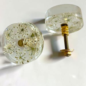 Può includere: Due pomelli rotondi per armadietti realizzati in resina trasparente, ciascuno contenente fiori bianchi pressati incorporati. I pomelli presentano un bullone, un dado e una rondella in metallo dorato sul retro per il fissaggio.