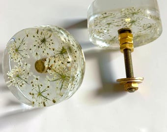 Disc Drawer Knobs with Queen Annes Lace Flowers in Resin