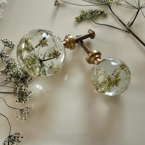 May include: Two spherical cabinet knobs made of clear resin, each containing a preserved white wildflower. The knobs feature a brass-colored metal base and a threaded screw attachment, showcasing a botanical design within the transparent material.