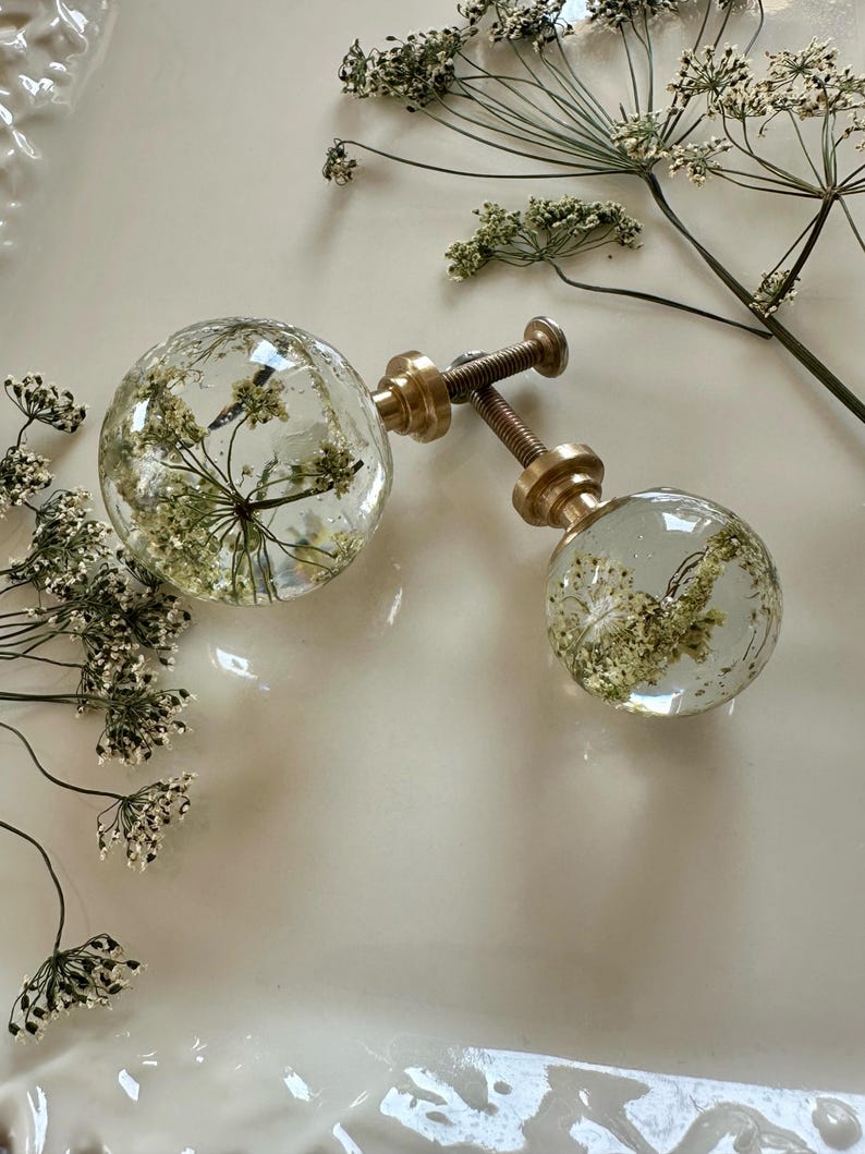 May include: Two spherical cabinet knobs made of clear resin, each containing a preserved white wildflower. The knobs feature a brass-colored metal base and a threaded screw attachment, showcasing a botanical design within the transparent material.