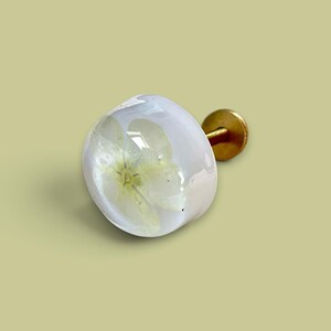 K&ouml;nnte beinhalten: Ein runder M&ouml;belknopf mit einer klaren, gl&auml;nzenden Harzkuppel, die eine gepresste, blassgelbe Blume umschlie&szlig;t. Der Knopf hat eine glatte, abgerundete Oberfl&auml;che und ist an einem kurzen, zylindrischen, messingfarbenen Metallsockel befestigt.