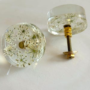 Può includere: Due pomelli rotondi per armadietti realizzati in resina trasparente, ciascuno contenente fiori bianchi pressati incorporati. I pomelli presentano un assemblaggio di vite, dado e rondella in metallo dorato sul retro.