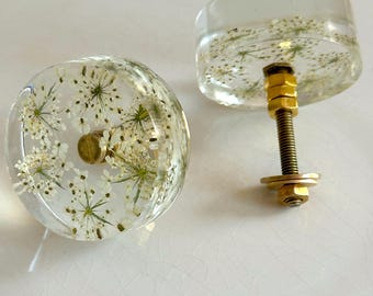 Disc Drawer Knobs with Queen Annes Lace Flowers in Resin