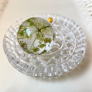 May include: A clear spherical resin knob featuring an embedded green Queen Anne's lace flower, resting on a circular, faceted, clear glass base with a textured diamond pattern and a small gold-toned metal attachment visible at the top.