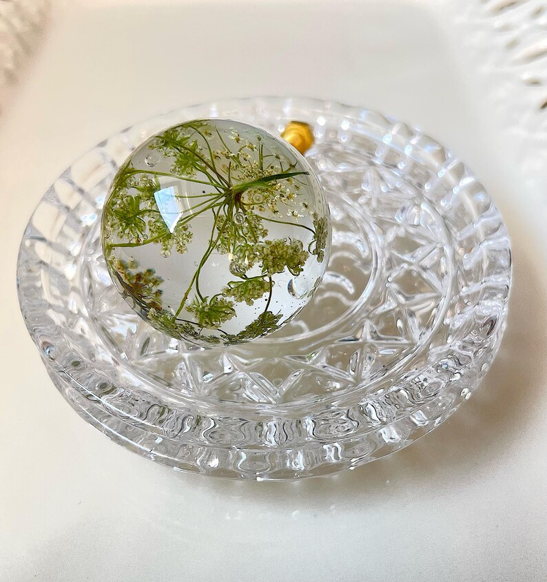 May include: A clear spherical resin knob featuring an embedded green Queen Anne's lace flower, resting on a circular, faceted, clear glass base with a textured diamond pattern and a small gold-toned metal attachment visible at the top.