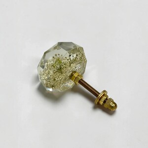 May include: A faceted clear resin cabinet knob containing dried white Queen Anne's lace flowers. The knob is attached to a threaded brass-toned metal bolt with a matching washer and nut, providing a functional hardware piece for furniture.