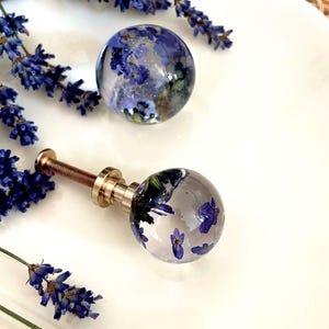 Può includere: Due pomelli sferici per cassetti in resina trasparente, contenenti ciascuno fiori di lavanda viola essiccati. Un pomello è fissato a una base a vite color oro metallizzato, mentre l'altro è staccato. Circondati da rametti di lavanda fresca.