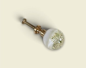 Dresser Knobs with Queen Annes Lace Flowers in Resin