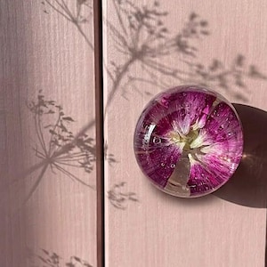 May include: A round, clear resin cabinet knob featuring a vibrant magenta flower embedded inside. The knob is attached to a light pink wooden surface, with a distinct shadow of a plant cast across the panel to the left of the circular handle.