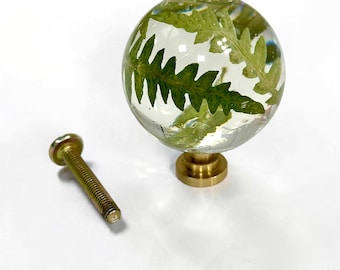 May include: A spherical clear resin cabinet knob featuring an embedded green fern leaf. The knob is attached to a circular brass-toned metal base and is accompanied by a separate matching metal mounting screw with a threaded shaft.