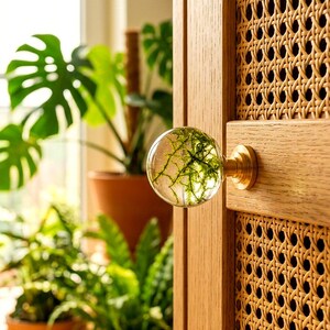 May include: A spherical clear glass cabinet knob containing green moss-like filaments, attached to a light-colored wooden door with a woven cane panel. The knob features a metallic gold-toned base that secures it to the wooden frame.