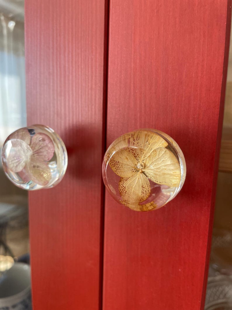 Puede incluir: Dos pomos de armario circulares hechos de resina transparente, cada uno con una flor seca preservada. El pomo izquierdo presenta un p&eacute;talo de hortensia rosa p&aacute;lido y blanco, mientras que el derecho muestra una flor de hortensia seca dorada.