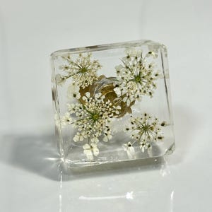 Pu&ograve; includere: Un pomello quadrato in resina trasparente con fiori bianchi di carota selvatica incorporati. Il materiale trasparente rivela la struttura delicata e complessa degli elementi botanici pressati, con una base in metallo dorato visibile al centro.