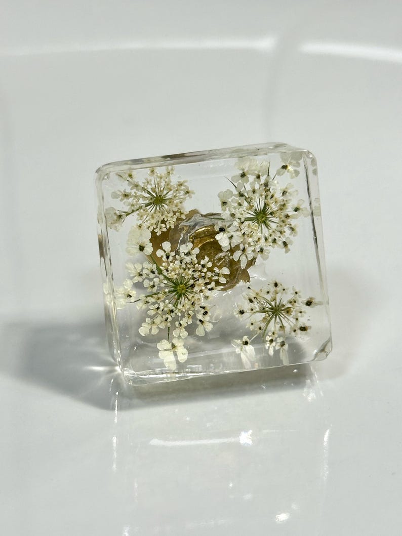Pu&ograve; includere: Un pomello quadrato in resina trasparente con fiori bianchi di carota selvatica incorporati. Il materiale trasparente rivela la struttura delicata e complessa degli elementi botanici pressati, con una base in metallo dorato visibile al centro.