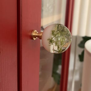 May include: A spherical cabinet knob featuring a clear resin dome with an embedded white pressed flower, attached to a cylindrical brass base. The knob is mounted on a red wooden surface, showcasing a smooth, rounded profile and metallic hardware.