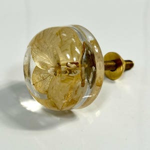 Puede incluir: Un pomo redondo para muebles con una c&uacute;pula de resina transparente que encapsula p&eacute;talos de hortensia secos de color amarillo claro. El pomo est&aacute; unido a un perno y una arandela de metal color lat&oacute;n, formando una pieza de herraje funcional.