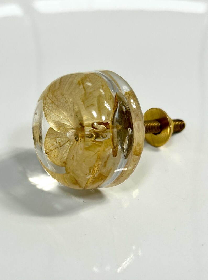 Puede incluir: Un pomo redondo para muebles con una c&uacute;pula de resina transparente que encapsula p&eacute;talos de hortensia secos de color amarillo claro. El pomo est&aacute; unido a un perno y una arandela de metal color lat&oacute;n, formando una pieza de herraje funcional.