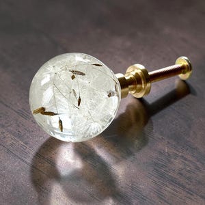 Può includere: Un pomello sferico per mobili con una sfera in resina trasparente contenente semi di tarassaco bianchi con steli marroni. Il pomello è fissato a una base cilindrica in metallo color ottone con un perno filettato che sporge dal retro.