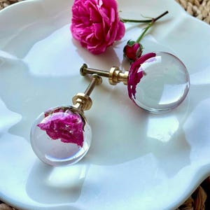 May include: Two spherical cabinet knobs featuring clear resin encasing vibrant pink rose petals. Each knob has a metallic gold-toned base and a threaded screw attachment. A single fresh pink rose and a small bud are positioned near the knobs.